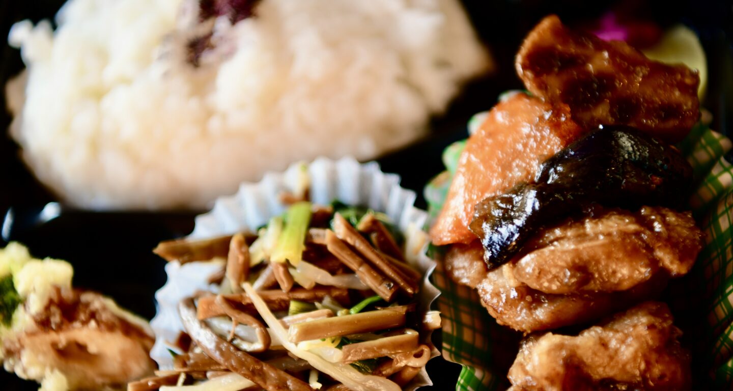 鶏肉の黒酢炒め